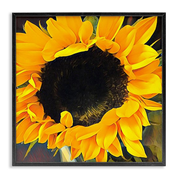 Stupell Industries Contemporary Vivid Yellow Sunflower Black Framed Giclee Art, 17 x 17, by Jessica Manelis