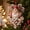 B, variant on Vintage Red White Candy Cane Theme Christmas Hanging Ornaments, Creative Xmas Candy Cane Motifs Design with Vibrant Color Shatterproof Decor for Festive Home Xmas Tree Mantel Garland Gift Wrapping
