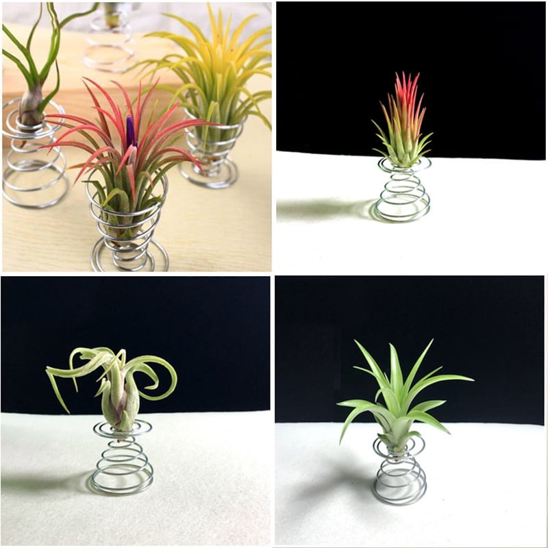 3pcs Stainless Steel Air Plant Stand Container Tillandsia Holder Tabletop 