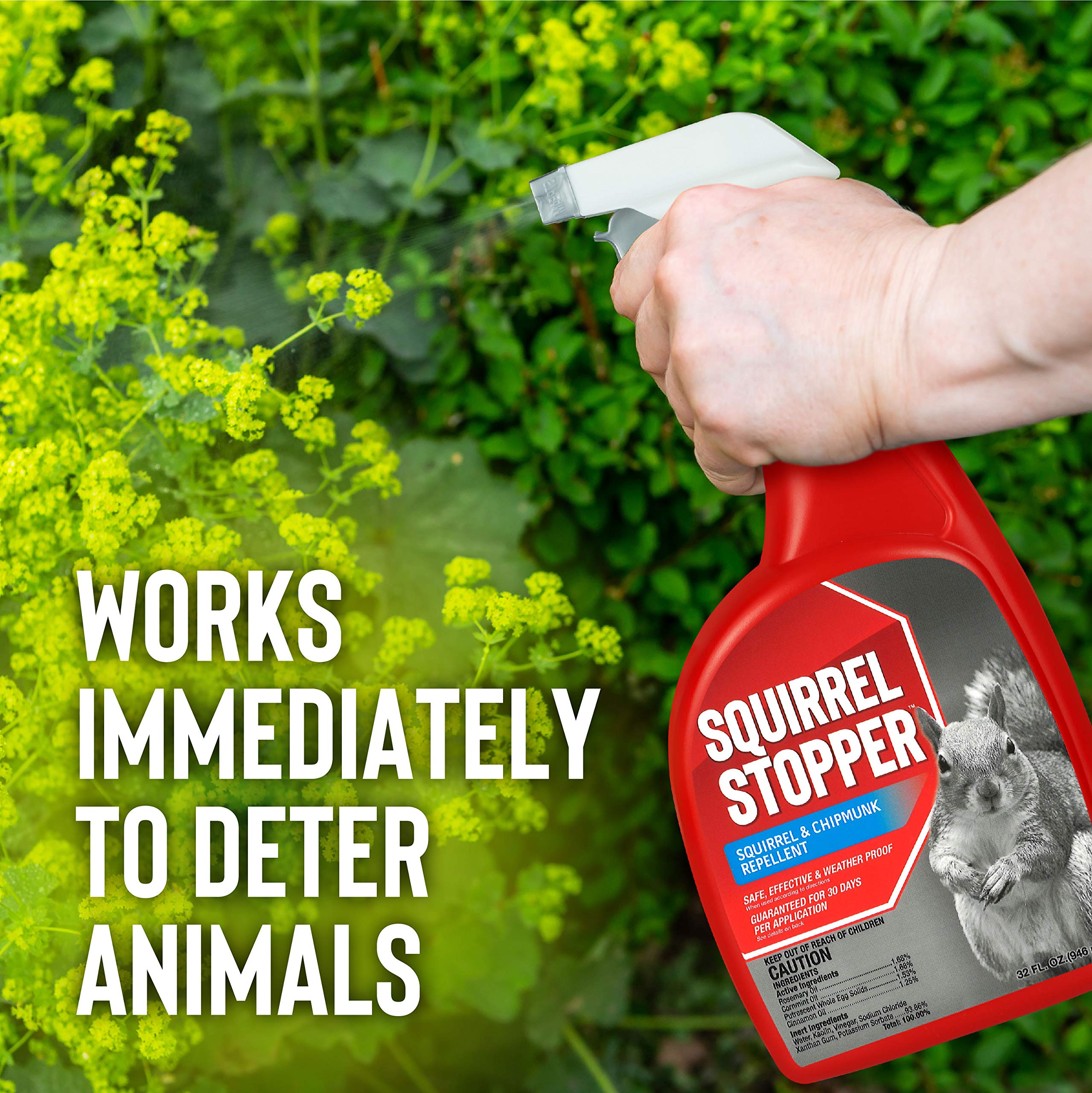 Squirrel Stopper Animal Repellent AIF4 - Safe & Effective, All Natural