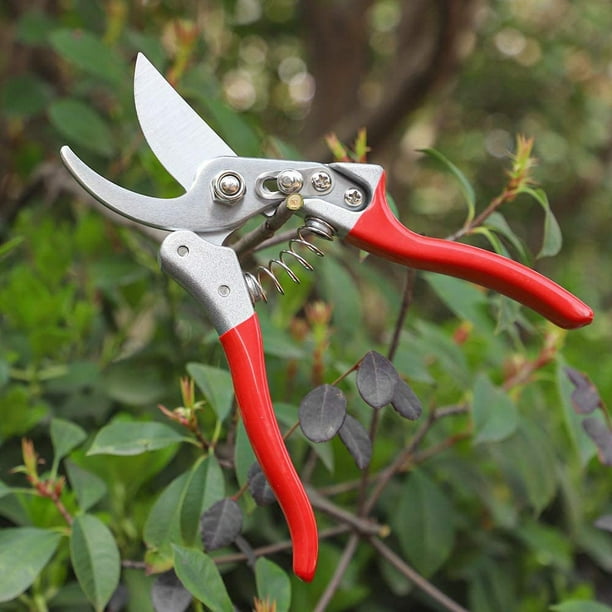 Pruning shears garden deals tools