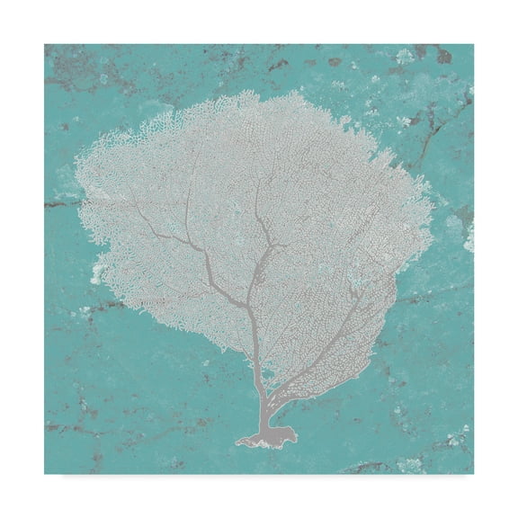 Trademark Fine Art 'Graphic Sea Fan IX' Canvas Art by Studio W