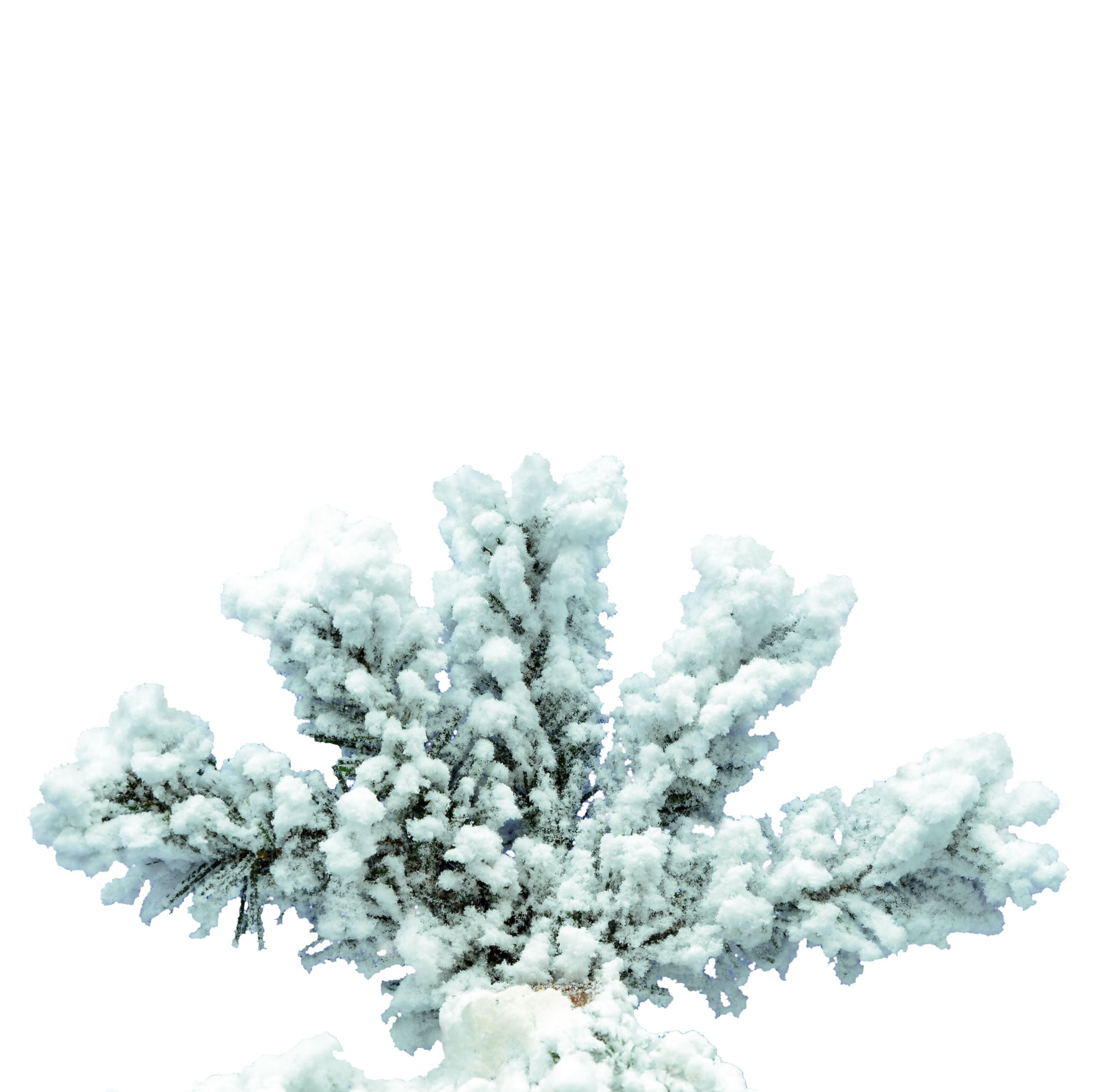 Vickerman 5' Flocked Spruce Artificial Christmas Tree, Unlit