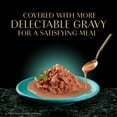 thumbnail image 6 of Sheba Gravy Indulgence Entree in Extra Gravy Variety Pack Cat Food, 2.6 oz Twin-Pack Trays, 6 of 13