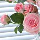 thumbnail image 3 of Simulación de rosas, Luna, rosa, flor, sala de estar, arreglo decorativo, boda, arreglo de flores falsas, accesorios for fotos, 3 of 5
