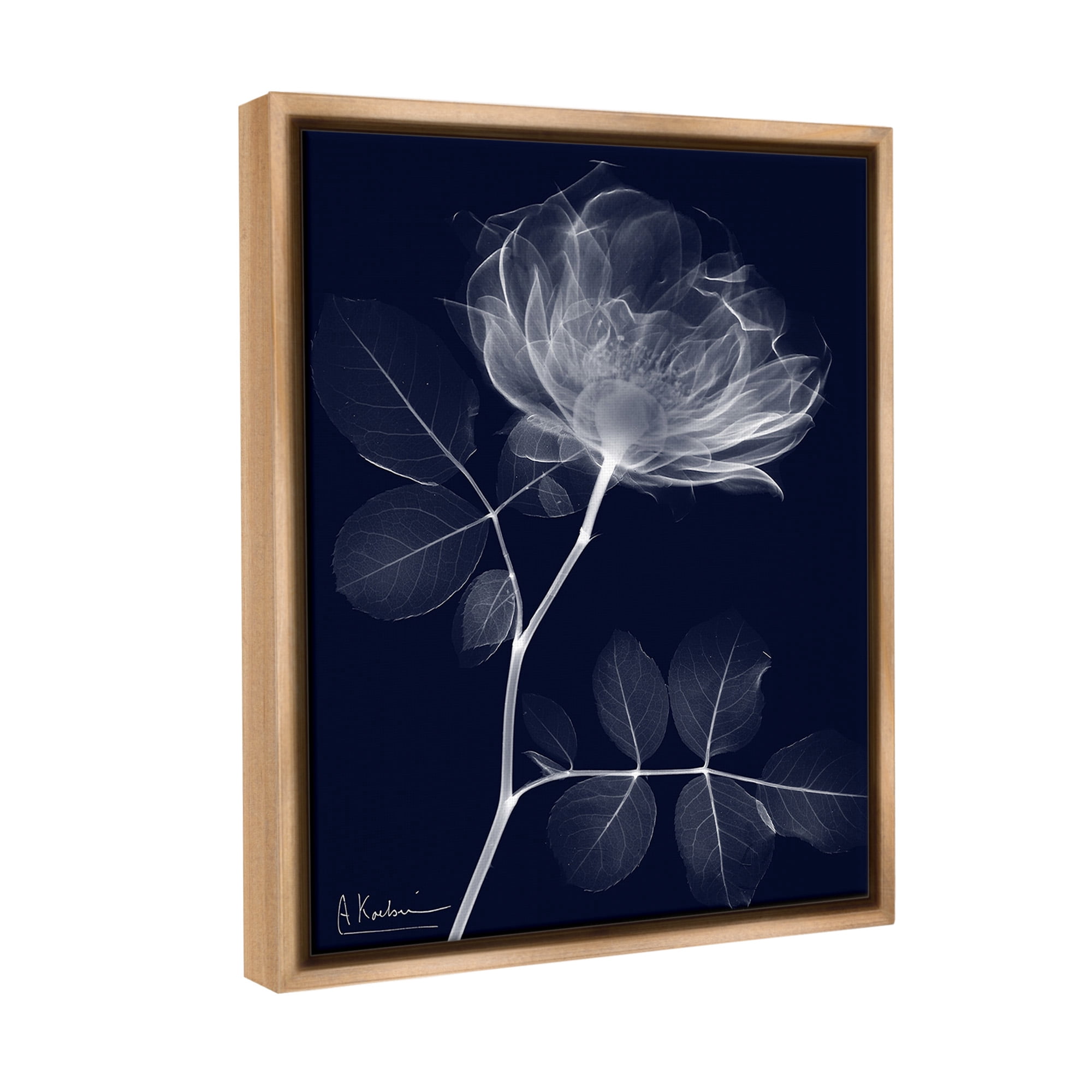 Stupell Industries Dynamic Dark Flower Botanical & Floral Photography Brown Floater Framed Canvas Art Print Wall Art, 25 x 31