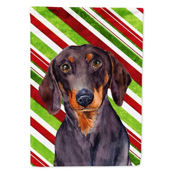 Carolines Treasures LH9223-FLAG-PARENT Dachshund Candy Cane Holiday Christmas Flag multicolor