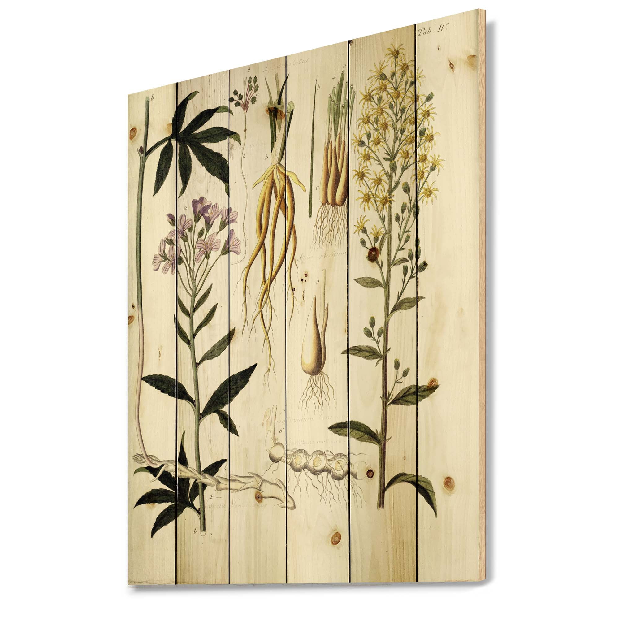 Designart 'Ancient Plant Life VIII' Farmhouse Print on Natural Pine Wood