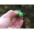 thumbnail image 4 of Mini Juguetes De Insectos De Batalla De Plástico Para Gatos, Mariquita Realista, Mariquita, Hornet, Escarabajo Electrónico, Juguetes Alimentados Por Batería Scienceny FN007185-01, 4 of 5