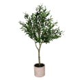 thumbnail image 1 of Vickerman FH190340 4 Pi. Olivier en Pot Vert, 1 of 1