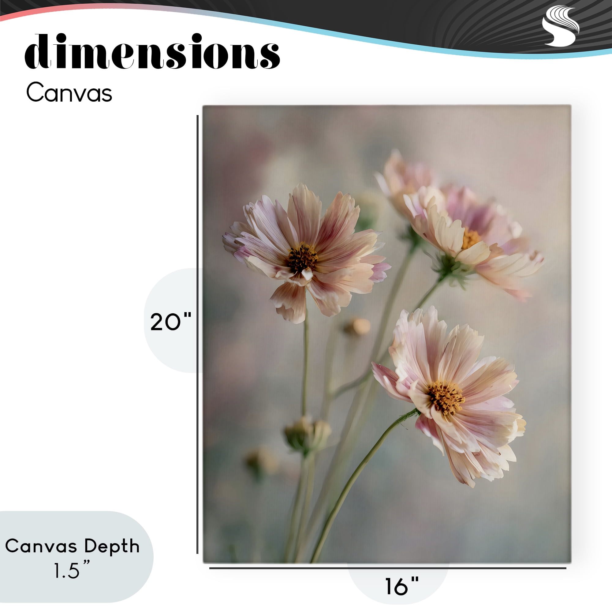 Stupell Industries Pink Daisies Close Up Canvas Wall Art, design by Franklyn Gregory