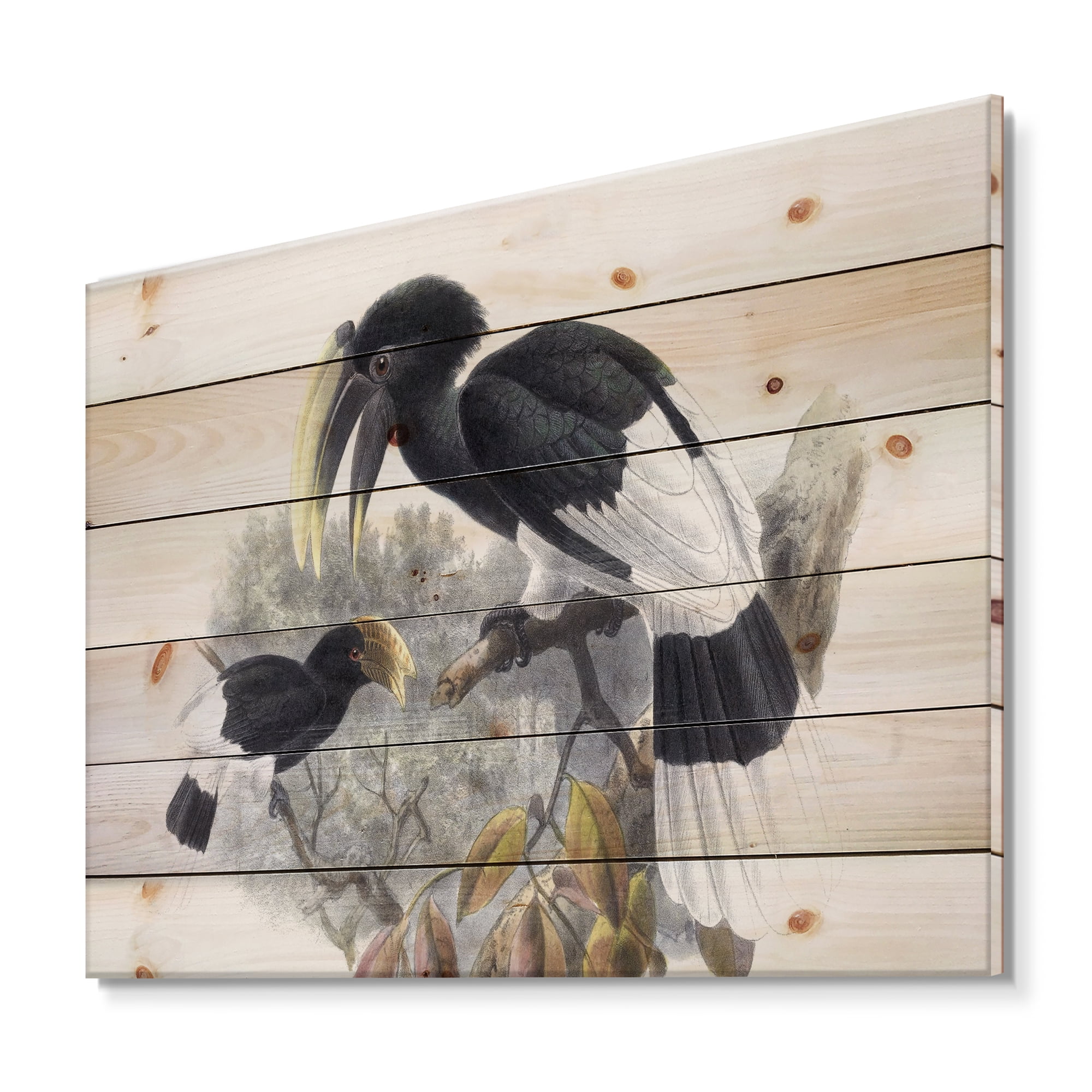 Designart 'Ancient Bird Illustration I' Traditional Print on Natural Pine Wood