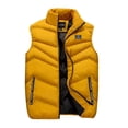 thumbnail image 1 of Chaleco de hombre otoño e invierno chaqueta acolchada de algodón abrigada versión para hombre de chaleco de ocio grueso de talla grande M a 8XL, 1 of 5