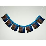 GCKG Underwater Great Shark Sea Animal Banner Bunting Garland Flag Sign for Home Family Party Decoration