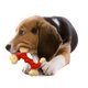 thumbnail image 5 of Juguete de Perro Nylabone Naranja y Blanco sabor Tocino, 5 of 11