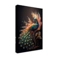 thumbnail image 3 of Canvas Wall Art - Ray Heere 'Proud Peacocks 13' Wall Art for Living Room, Bedroom, or Office Décor by Trademark Fine Art - 12 x 19 Inches, 3 of 4
