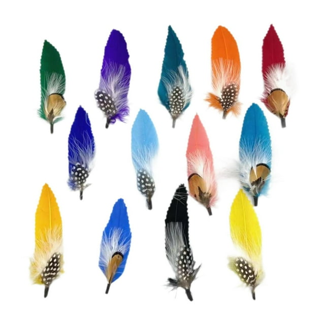 Plumas de sombrero Perfecl para sombreros Fedora y vaquero Cantidad 13