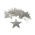 thumbnail image 1 of Window Decoration 2pcs Star Flag for Home Party Decoration Easy Installation Exquisite Wall Hanging Garland Versatile Festive Ceiling Window Event, 1 of 1
