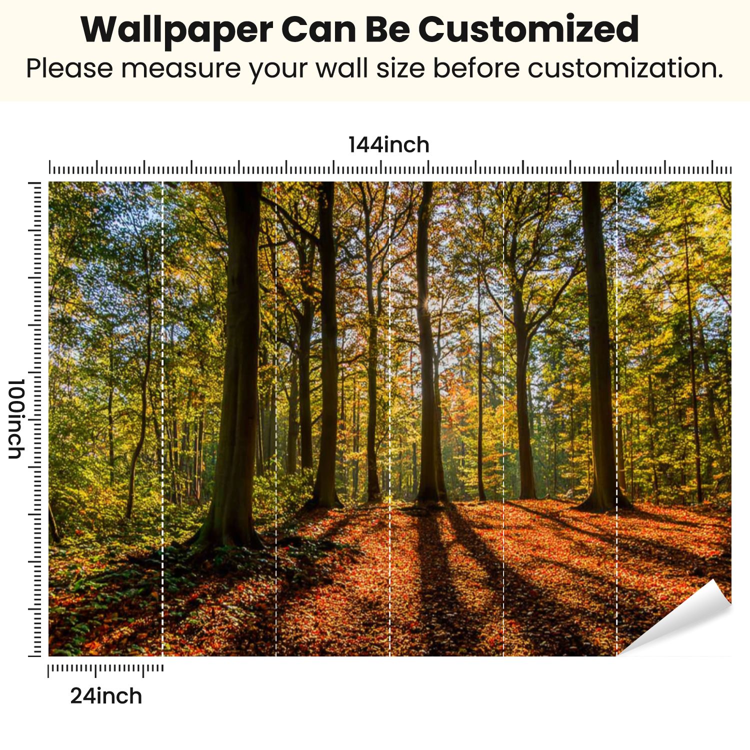 Peel and Stick Wallpaper Wonderful sunny day autumn sunlight coming trees shadows leaves ground Modern Art Wall Mural Decor Self Adhesive and Removable 100in x 144in
