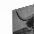 thumbnail image 2 of Luxe Metal Art 'Fluffy Cow' by Epic Portfolio Metal Wall Art, 36"x36", 2 of 9