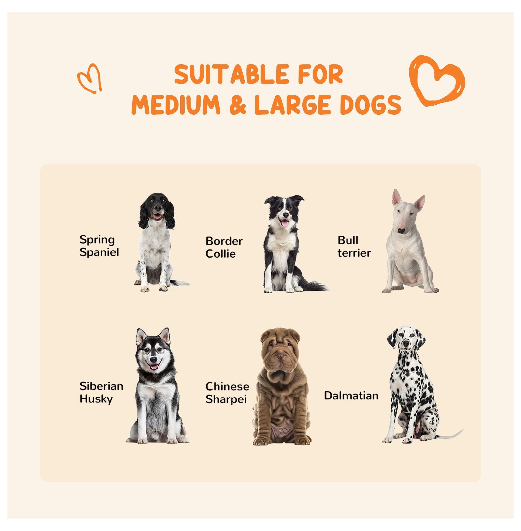 Outdoor Dog Kennel 9.3x4.6 Exercise Pen with UV Protection, Water-Resistant Dog Run for Medium Large Dogs Up to 66lbs