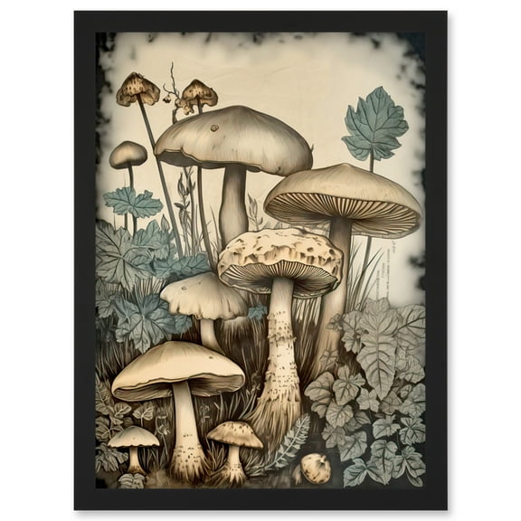 Mushroom Fungi Watercolour Vintage Cottagecore Aesthetic Rustic Decor Artwork Framed Wall Art Print A4