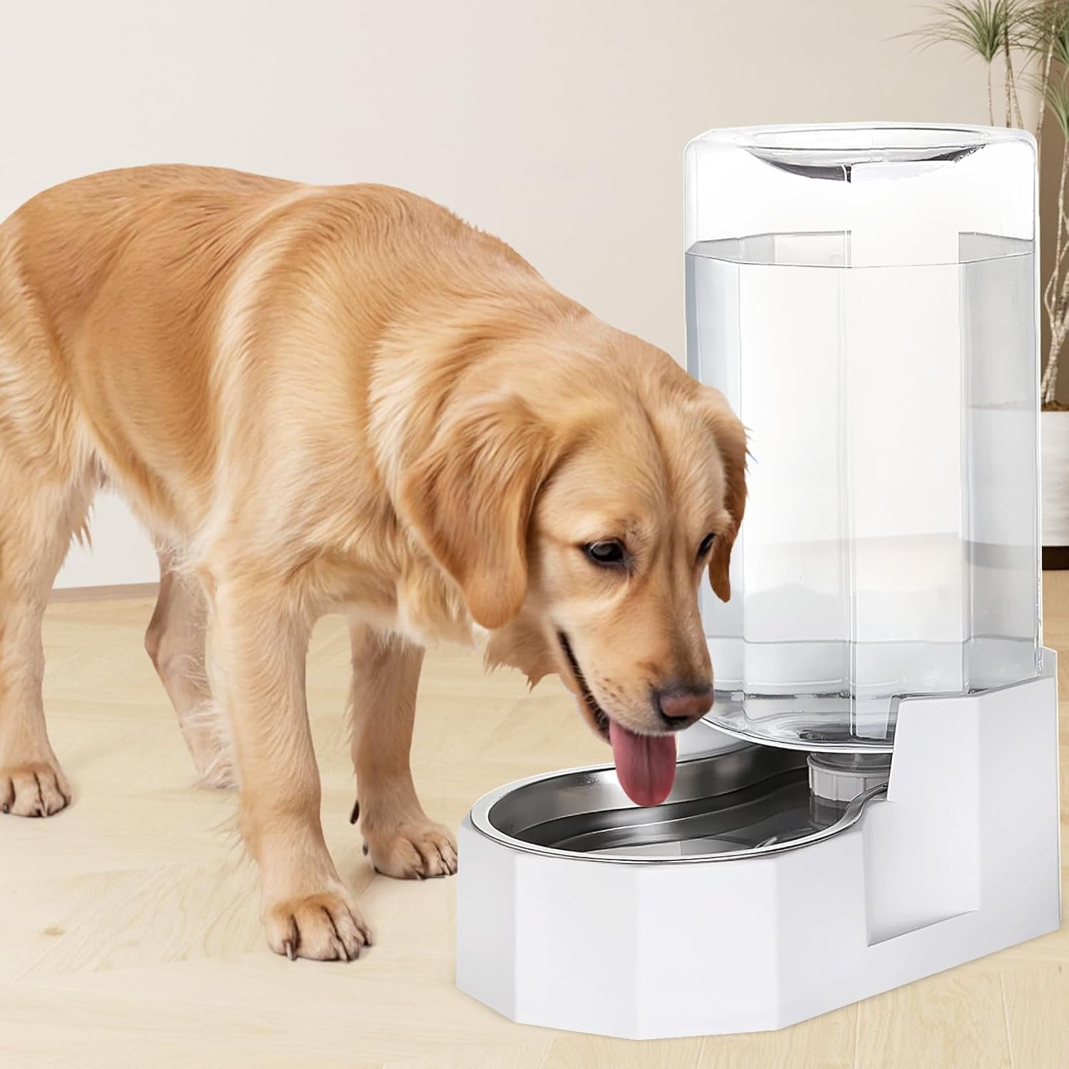 Automatic Pet Water Dispenser: 8L White Gravity Stainless Steel Water Bowl - with Specialized Brush - Angular Water Feeder for Senior Pet Dogs with Neck Pain Relief in Living Room Bedroom