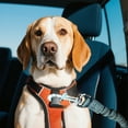 thumbnail image 3 of Heavy Duty Elastic Dog Car Seat Belt with Reflective Tether and Telescopic Bungee Leash for Secure Vehicle Travel, 3 of 4