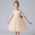 thumbnail image 3 of Robe de Princesse pour Fille, Cadeau d'Anniversaire, Robe de Demoiselle d'Honneur, Col Rond, Sans Manches, Nœud Solide, Robe de Princesse, 3 of 3