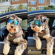 Dog Sunglasses Dog Goggles, UV Wind Dust Snow Fog Protection Soft Frame Pet Glasses Eye Wear with Adjustable Strap for Small to Medium Breed