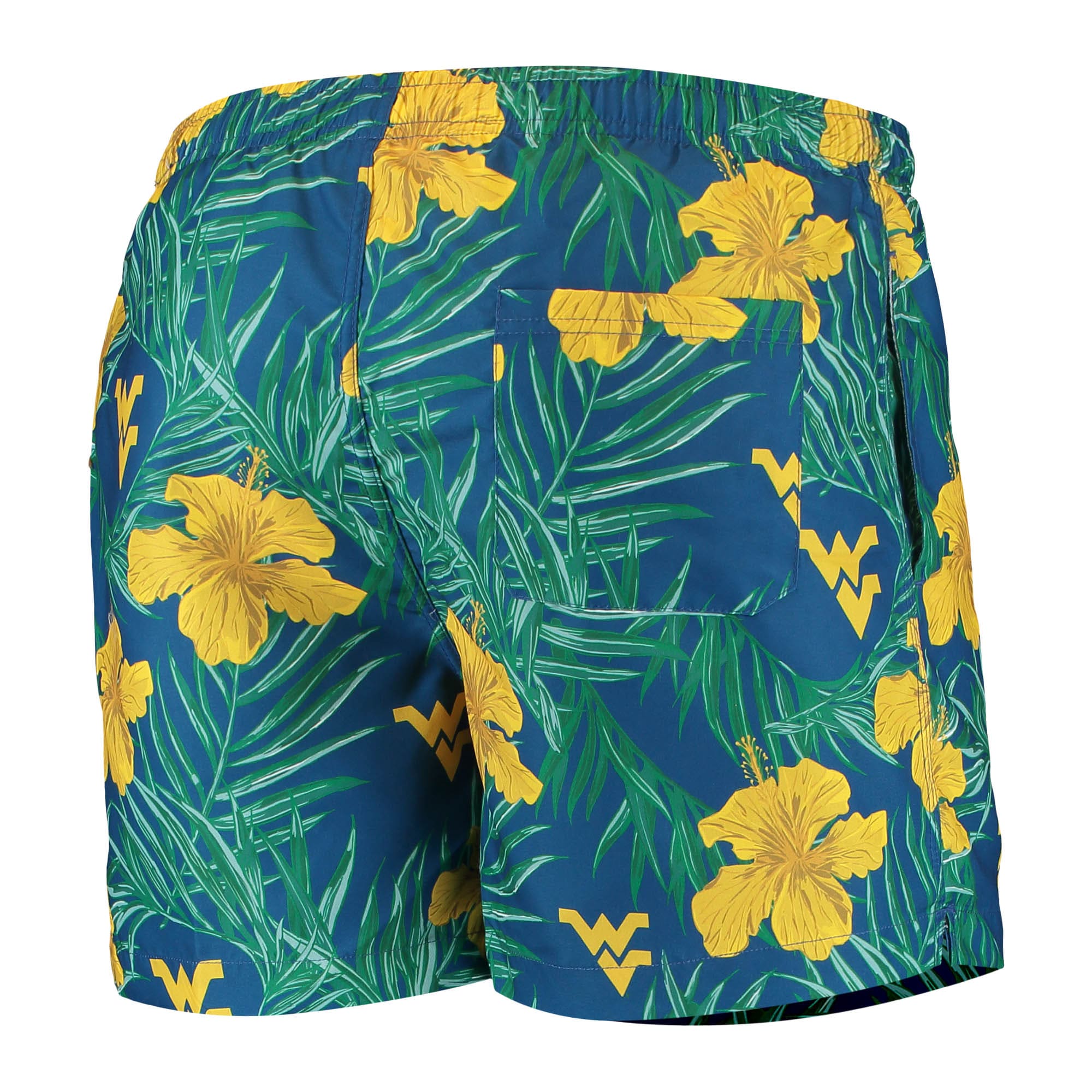 West Virginia Mountaineers Swimming 