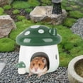 thumbnail image 6 of Hamster Houses Hideout Chipmunk Gerbils Rabbit Cave Hideaway Hamster Habitat Lsize Green, 6 of 8