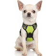 thumbnail image 1 of rabbitgoo Dog Harness  No-Pull Pet Harness with 2 Leash Clips  Adjustable Soft Padded Dog Vest  Reflective No-Choke Pet Oxford Vest with Easy Control Handle for Large Dogs Orange L, 1 of 9