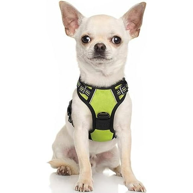 rabbitgoo Dog Harness No-Pull Pet Harness with 2 Leash Clips Adjustable Soft Padded Dog Vest Reflective No-Choke Pet Oxford Vest with Easy Control Handle for Large Dogs Orange L