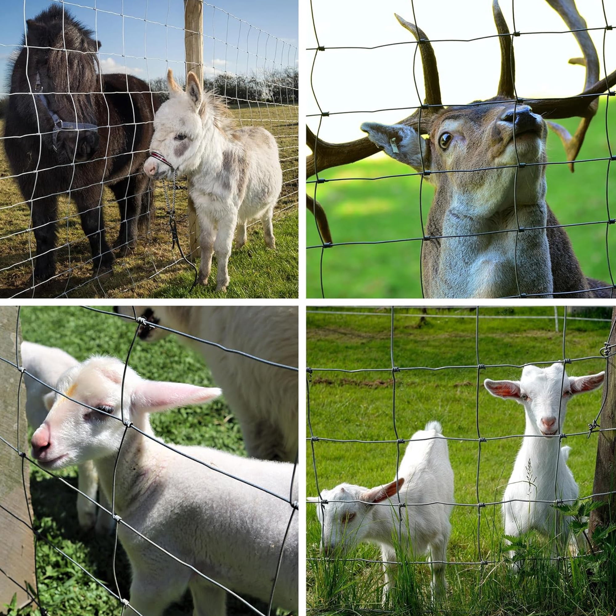 Miniyam 14-Gauge Heavy Zinc Coated Farm Fence – Galvanized Field Wire for Cattle, Deer, Goats, Hogs – Light-to-Medium Duty Yard Animal Protection (36in x 164ft)
