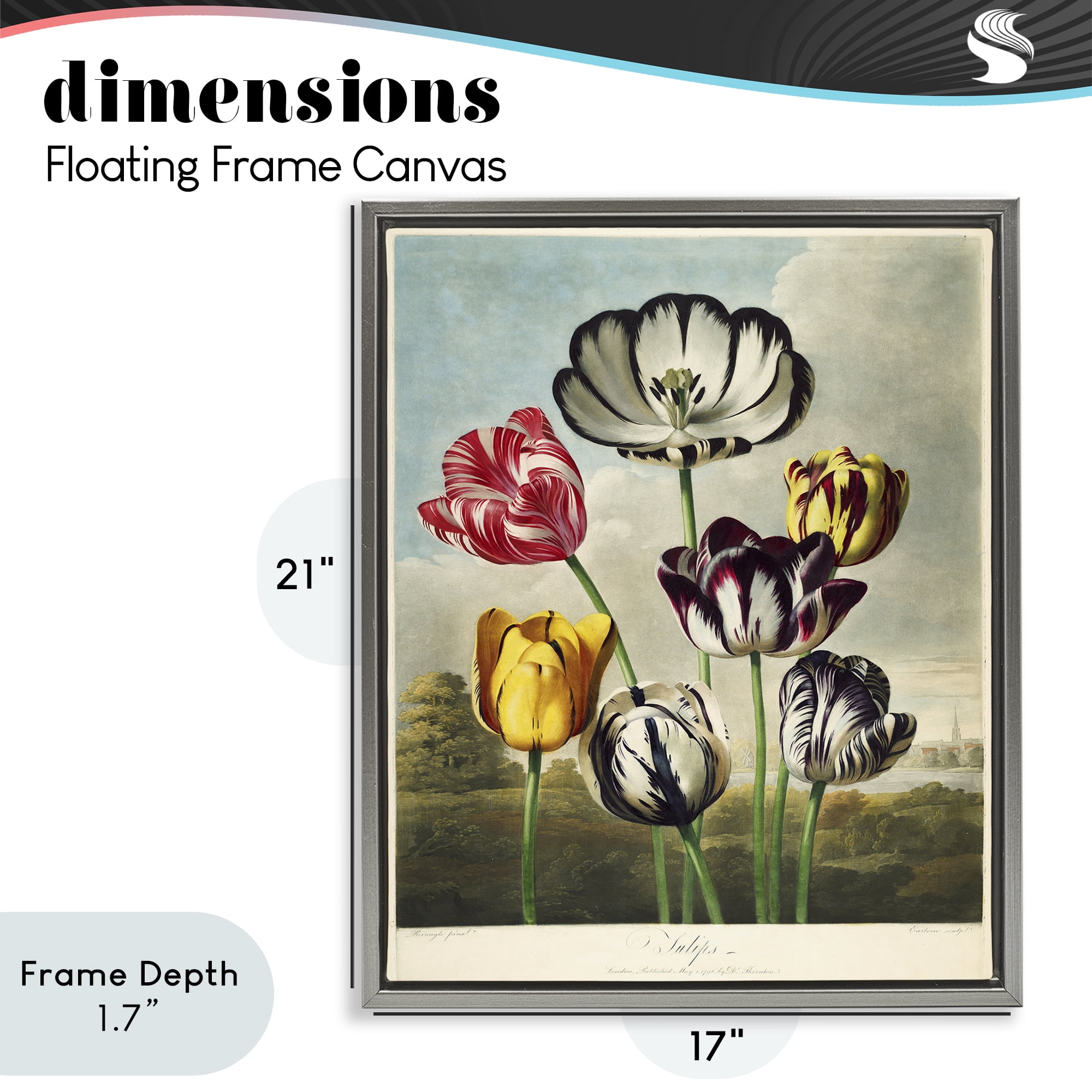 Stupell Industries Tulips From The Temple Gray Framed Floater Canvas Wall Art, design by Print Collection