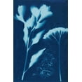 thumbnail image 2 of Guthrie, Jenna 13x18 White Modern Wood Framed Museum Art Print Titled - Cyanotype No.15, 2 of 4