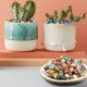thumbnail image 1 of 2 paquetes de guijarros brillantes decorados con coloridos acuarios de piedras brillantes, 1 of 5