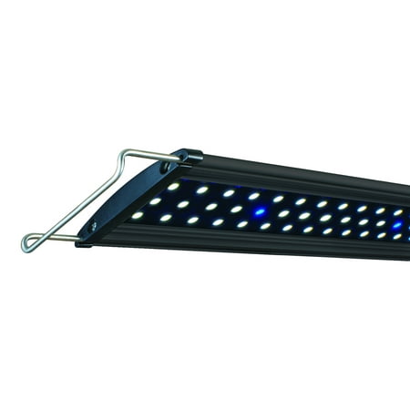 Lifegard Aquatics Ultra Slim LED Aquarium Light, Blue/White, Freshwater, (Best Led Lighting For Freshwater Planted Tank)
