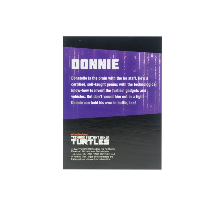 TMNT Deluxe Ninja Turtles Toys - Michaelangelo, Raphael TMNT Deluxe Ninja Turtles Toys - Michaelangelo, Raphael
