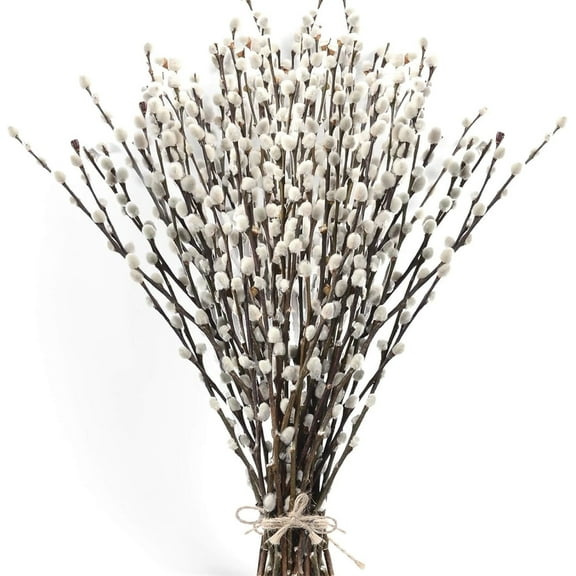 20 Pcs Dried Pussy Willow Branches,Natural Preserved Dried Pussy Branches,16 Inch Long Snow Pussywillows,Dried Flower Twigs with White Flowers,for Vase Fireplace Yard Party Decor