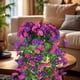 thumbnail image 5 of Cesta colgante de rosas artificiales para decoración de pared | Varilla de 85 cm con 12 enredaderas de flores artificiales | Plantas de plástico para envolver en la sala de estar, el techo y la, 5 of 6