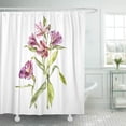 thumbnail image 1 of Cortina de Ducha ABPHQTO Lirio en Acuarela de Alstroemeria 160x180 cm, 1 of 1