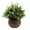 B, variant on Safeglitz Artificial Potted Small Plant with Hemispherical Pulp Bonsai, Lifelike Greenery for Tabletop Decoration, No-Watering Design for Easy Home or Office Desk Accents, 1PC
