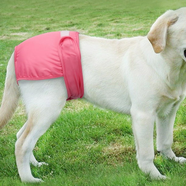 Flmtop Pet Dog Breathable Menstrual Pants Physiological Sanitary Washable Safe Diaper Beige Walmart