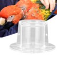 thumbnail image 3 of Collier de Récupération Réglable pour Perroquet Animalier - Couvre-Cou Anti-Morsure et Cicatrisation pour Oiseau - Cône Pratique pour la Guérison des Animaux de Compagnie, 3 of 4