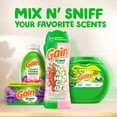 thumbnail image 5 of (4 pack) Gain Laundry Scent Beads, Tango 2-in-1 In-Wash Scent Booster, Dual Strawberry & Shea Scent, 21.1 oz, 5 of 14
