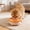 Orange, variant on Pet Water Bowl, Automatic Floating Water Bowl for Cats Dogs, Anti-Wet Mouth Pet Water Dispenser, No-Spill Drinking Fountain, Orange