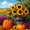 Autumn Sunflowers Pumpkins, variant on UXIEQU Vintage Blue Wooden Boat Canvas Wall Art 15.75x11.81 Inches