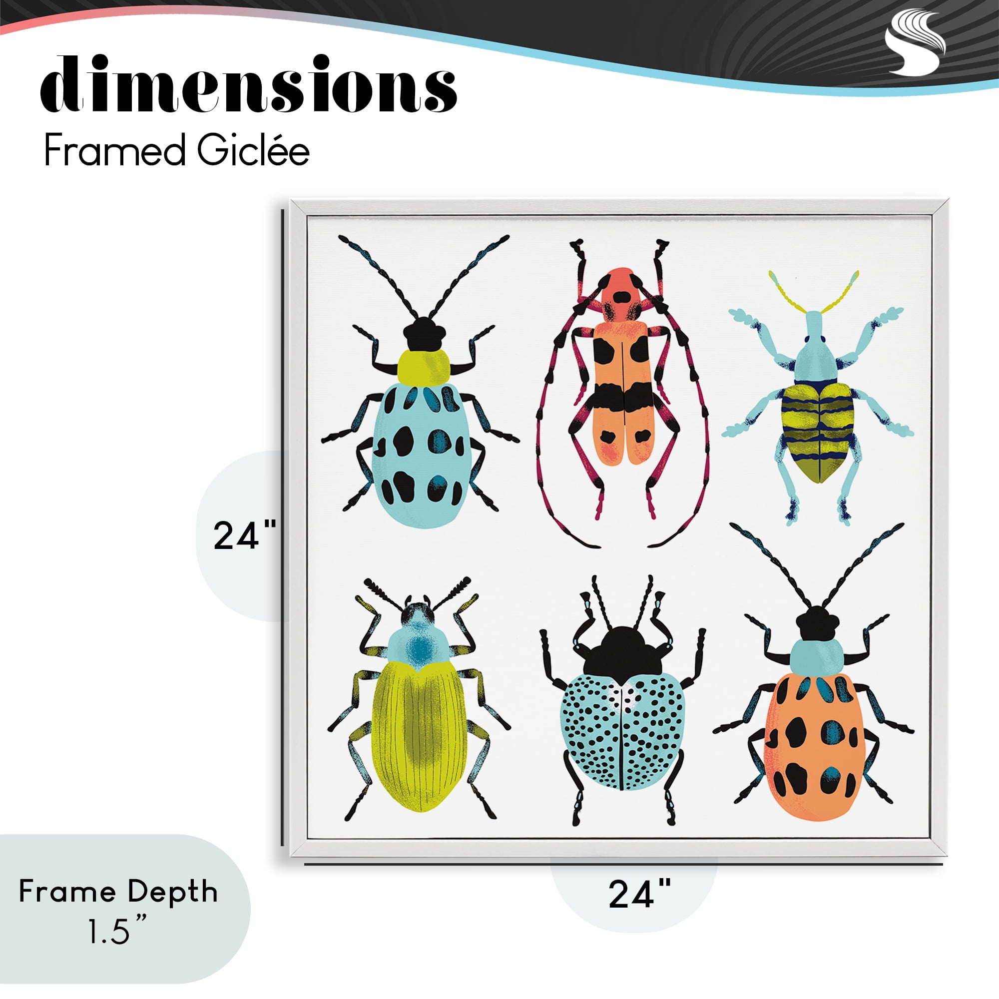 Stupell Industries Beetles & Bugs Collection White Framed Giclee Art, design by Metka Hiti